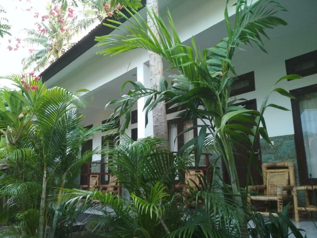 Almaida II Gili Trawangan Bed & Breakfast Exterior photo